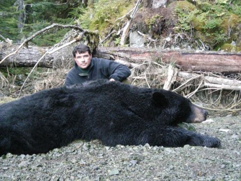 Alaska-Black-Bear