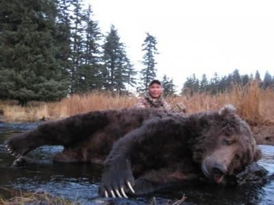 Alaska-Brown-Bear