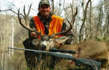 Colorado Mule Deer Hunts 