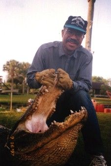 Florida-Alligator2