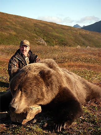 Nice-sized-brown-bear