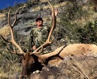 2022 New Mexico Unit 36 Rifle Elk Tag Unit Wide