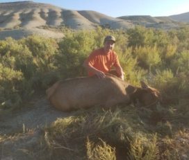 2020 Utah Bookcliffs Private Land Cow Elk Hunt