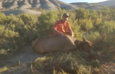 2020 Utah Bookcliffs Private Land Cow Elk Hunt