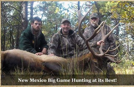 elk-hunting-landowner-tags