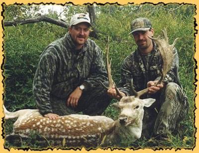 Iowa-Fallow-Deer-Hunts