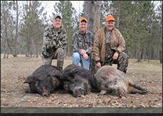 Michigan-Hog-Hunts-1