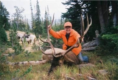 Montana-Elk
