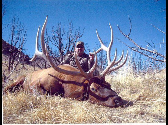 Utah-landowner-tag-trophy-bull-elk