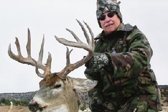 Whooper-whitetail-deer-Colorado